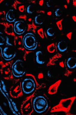 soyut mavi ve kırmızı doku, grunge arkaplan, boşluk duvar kağıdını kopyala