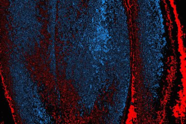 soyut mavi ve kırmızı doku, grunge arkaplan, boşluk duvar kağıdını kopyala