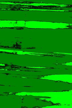 yeşil doku arkaplanı, boşluk duvar kağıdını kopyala