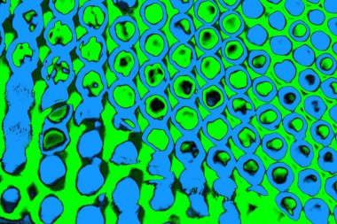 soyut yeşil doku, arkaplan, duvar kağıdını kopyala