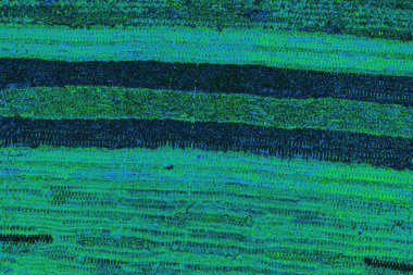 Boşluk duvar kağıdını, grunge arkaplanını, soyut renkli doku arkaplanını kopyala