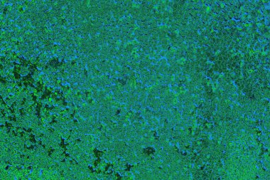 Boşluk duvar kağıdını, grunge arkaplanını, soyut renkli doku arkaplanını kopyala