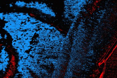 soyut mavi ve kırmızı doku, grunge arkaplan, boşluk duvar kağıdını kopyala