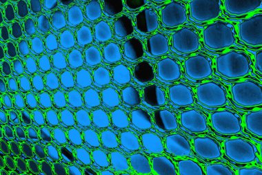 soyut renkli doku arkaplanı, uzay duvar kağıdını kopyala