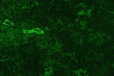 Soyut renk dokusu, grunge arkaplanı, boşluk duvar kağıdını kopyala