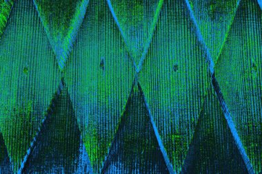 Boşluk duvar kağıdını, grunge arkaplanını, soyut renkli doku arkaplanını kopyala