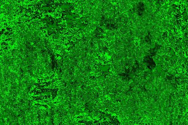 soyut yeşil doku arkaplanı, boşluk duvar kağıdını kopyala