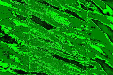 soyut yeşil doku, arkaplan, duvar kağıdını kopyala