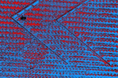 soyut mavi ve kırmızı doku, grunge arkaplan, boşluk duvar kağıdını kopyala