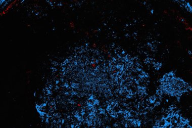 soyut mavi ve kırmızı doku, grunge arkaplan, boşluk duvar kağıdını kopyala