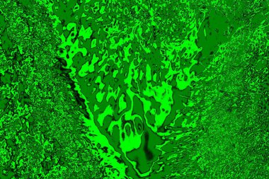 soyut yeşil doku, arkaplan, duvar kağıdını kopyala