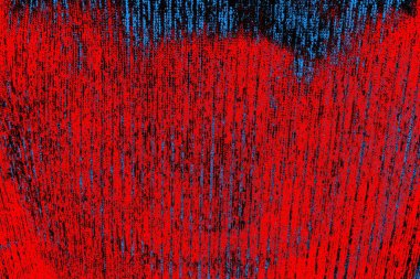 parlak kırmızı doku arkaplanı, boşluk duvar kağıdını kopyala