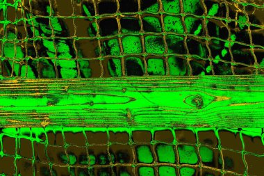 Soyut renk dokusu, grunge arkaplanı, boşluk duvar kağıdını kopyala