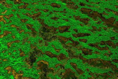 soyut yeşil doku arkaplanı, boşluk duvar kağıdını kopyala