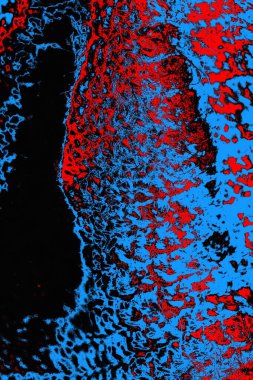 soyut mavi ve kırmızı doku, grunge arkaplan, boşluk duvar kağıdını kopyala