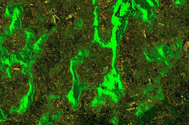 soyut yeşil doku arkaplanı, boşluk duvar kağıdını kopyala