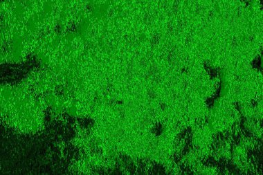 soyut yeşil doku arkaplanı, boşluk duvar kağıdını kopyala