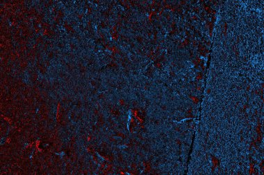 soyut mavi ve kırmızı doku, grunge arkaplan, boşluk duvar kağıdını kopyala