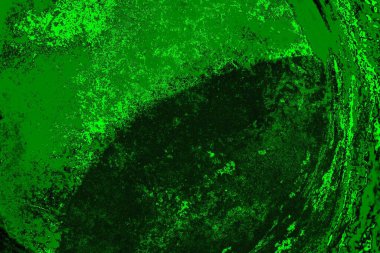 soyut yeşil arkaplan, boşluk duvar kağıdını kopyala