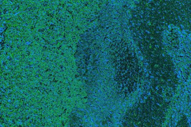 Boşluk duvar kağıdını, grunge arkaplanını, soyut renkli doku arkaplanını kopyala