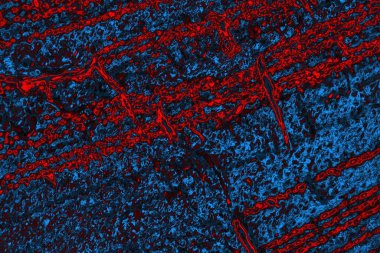 Soyut renk dokusu, grunge arkaplanı, boşluk duvar kağıdını kopyala