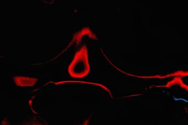 Renkli doku arkaplanı, boşluk duvar kağıdını kopyala