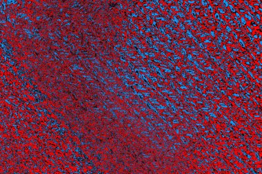 Renkli doku arkaplanı, boşluk duvar kağıdını kopyala