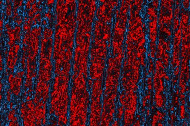 Soyut renk dokusu, grunge arkaplanı, boşluk duvar kağıdını kopyala