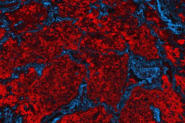 soyut doku, grunge arkaplan, boşluk duvar kağıdını kopyala  