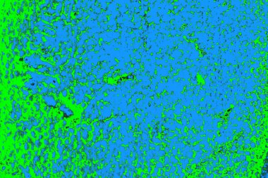 Boşluk duvar kağıdını, grunge arkaplanını, soyut renkli doku arkaplanını kopyala