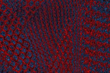 soyut mavi ve kırmızı doku, grunge arkaplan, boşluk duvar kağıdını kopyala