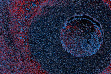 soyut mavi ve kırmızı doku, grunge arkaplan, boşluk duvar kağıdını kopyala