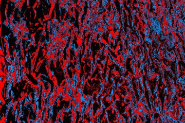 Renkli doku arkaplanı, boşluk duvar kağıdını kopyala