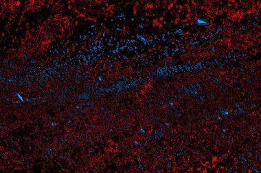 soyut mavi ve kırmızı doku, grunge arkaplan, boşluk duvar kağıdını kopyala