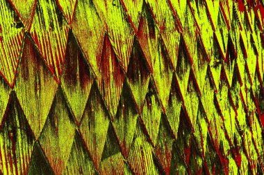 yaratıcı ve tasarım sanatı, kopyalama alanı duvar kağıdı, soyut renkli doku arkaplanı