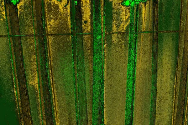 Soyut renk dokusu, grunge arkaplanı, boşluk duvar kağıdını kopyala