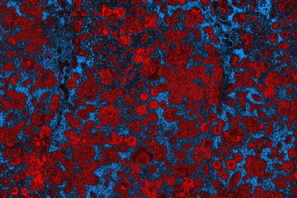 Soyut renk dokusu, grunge arkaplanı, boşluk duvar kağıdını kopyala