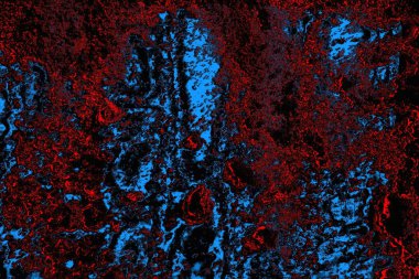 soyut mavi ve kırmızı doku, grunge arkaplan, boşluk duvar kağıdını kopyala