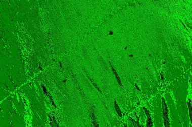 soyut yeşil doku, arkaplan, duvar kağıdını kopyala