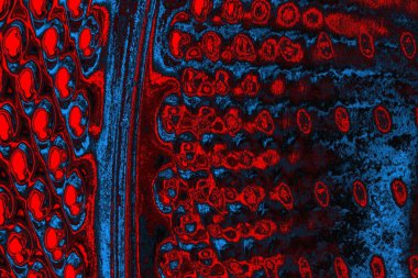 soyut mavi ve kırmızı doku, grunge arkaplan, boşluk duvar kağıdını kopyala