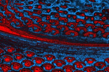 soyut mavi ve kırmızı doku, grunge arkaplan, boşluk duvar kağıdını kopyala