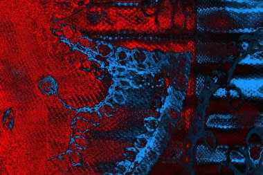 soyut mavi ve kırmızı doku, grunge arkaplan, boşluk duvar kağıdını kopyala