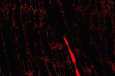 soyut mavi ve kırmızı doku, grunge arkaplan, boşluk duvar kağıdını kopyala