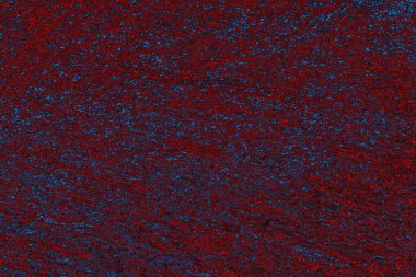 soyut mavi ve kırmızı doku, grunge arkaplan, boşluk duvar kağıdını kopyala