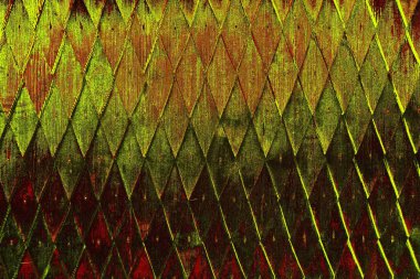  grunge arkaplanı, boşluk duvar kağıdını kopyala, soyut renkli doku arkaplanı