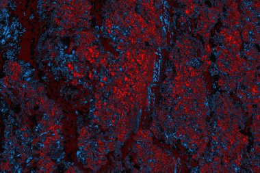 soyut mavi ve kırmızı doku, grunge arkaplan, boşluk duvar kağıdını kopyala