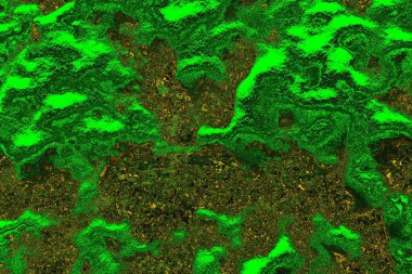 soyut yeşil doku arkaplanı, boşluk duvar kağıdını kopyala