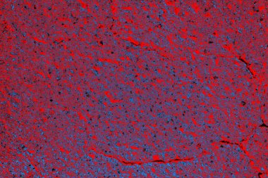 Soyut renk dokusu, grunge arkaplanı, boşluk duvar kağıdını kopyala