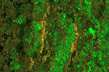 soyut yeşil doku arkaplanı, boşluk duvar kağıdını kopyala