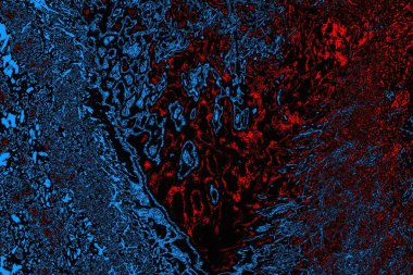 soyut mavi ve kırmızı doku, grunge arkaplan, boşluk duvar kağıdını kopyala